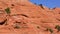 Iron oxide cross bedded sandstone of Canyon de Chelly