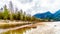 Iron Oxide Stained rocks lining the shore at low water in the Squamish River in British Columbia, Canada