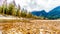 Iron Oxide Stained rocks lining the shore at low water in the Squamish River in British Columbia, Canada