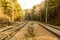 Iron path in the woods. Sunny day. The railway. Forest.