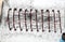 Iron powder shows the magnetic lines of forces in a coil