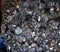 Iron pyrite crystal geologic