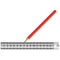 Iron ruler red pencil isolated vector