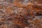 Iron rust texture background. Metal rusted background, decay steel, metal texture with scratch and crack. Macro shot of