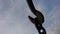 Iron silhouette of hooks and chains against a cloudy sky background