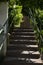 Iron stairs with iron railings along thickets of trees and grass