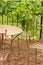 Iron table in garden