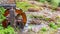 Iron Water wheel in Wales, UK