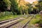 Iron and wood railroad tracks and forest background