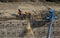 Iron workers on wall of rebar and steel beams shoveling dirt at a freeway construction project