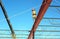 An Ironworker /Welder Awaits a Bar Joist