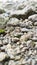 irregular rock fragments on a beach