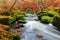 Irrel cascades at river Pruem in Eifel, Germany