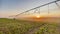 irrigate agriculture. machinery a irrigation farm field. farmer field at sunset watering plants business agricultural