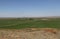 Irrigated farmland near Jordan Valley, Oregon