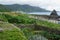 Irrigated taro Colocasia esculenta fields in Lanyu - Orchid island, Taiwan