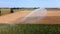 Irrigating maize in the summer