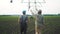 irrigation agriculture. two silhouette farmers working in the field examining installation for lifestyle irrigating corn