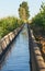 Irrigation Canal Corn Crops