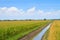 Irrigation canal in rice field