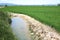 Irrigation canal system in rice field Spain