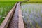 Irrigation canal, waterway,Water trough in rice field