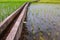 Irrigation canal,waterway, Water trough in rice field