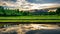 Irrigation canal, waterway, Water trough in rice field