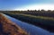 Irrigation channels surround asparagus crops in south eastern Victoria.