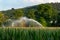 irrigation corn field