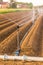 Irrigation of cultivated fields