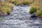 Irrigation ditch running at full