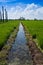 Irrigation drain at a paddy field on a sunny day