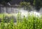Irrigation Droplets Spray Garden in Summer
