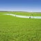 Irrigation equipment watering Spring crops in green farm field. Agriculture farming industry