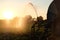 irrigation farm fields sunset hot air balloon water trees