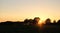 irrigation farm fields sunset hot air balloon water trees