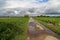 Irrigation farmland in the fields of the Rhine-Palatinate