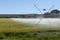 Irrigation pivot in a field of wheat