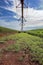 Irrigation pivot between sugarcane and corn plantations in the interior of SÃ£o Paulo, Brazil