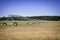 Irrigation pivot on sunny day