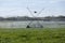 An irrigation pivot watering a field of crops