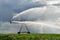 Irrigation pivot on the wheat field