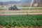 Irrigation plant system on a field, agriculture. Tractor in the blurry background
