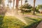 Irrigation of plants in the tropical park of the hotel complex. Watering system for lawn grass, palm trees and flowers in the