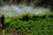 Irrigation of a potatoes cultivation.