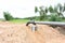 Irrigation pumping pipe system