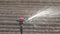 Irrigation of sown agricultural fields with sprinklers.