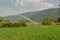 Irrigation splashing water in a corn field  reel hose