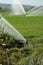 Irrigation splashing water in a corn field  reel hose